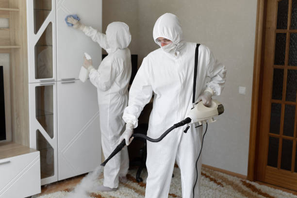 Office Mold Removal Services in Hinton, WV